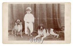 19thc Victorian Child & Dogs Salt Lake City Bathhouse Albumen Photos