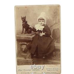 Adorable Little Girl with Small Chihuahua Dog Antique 1800s Cabinet Card Photo