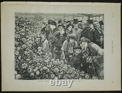 WILLIAM SMALL 1843-1929 Antique Original SIGNED Victorian ENGRAVING Flower Show